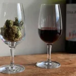 THC Drinks as an Alcohol Alternative: A Sober-Curious Guide